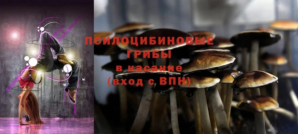 молекула духа Козловка