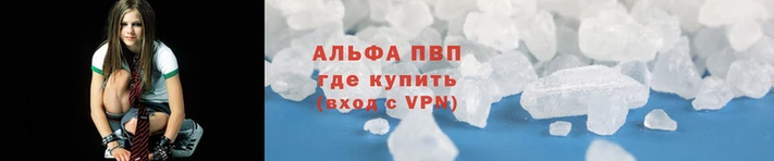 молекула духа Козловка