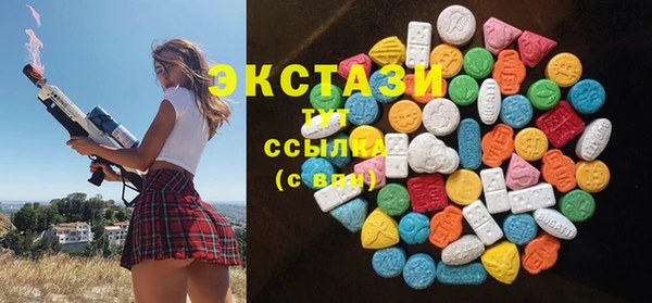СК Краснослободск