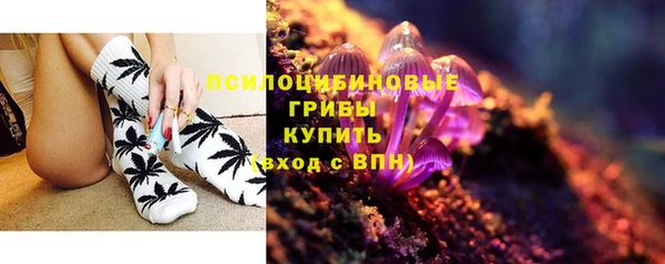 СК Краснослободск