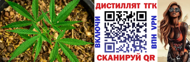 Купить  Зеленоградск  ТГК гашишное масло 