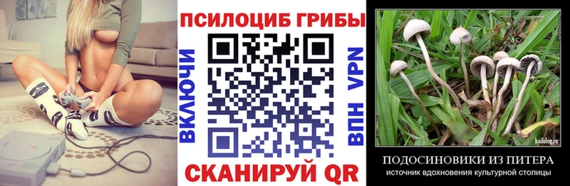Галлюциногенные грибы мухоморы  Купить где  Зеленоградск 