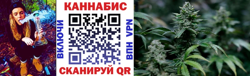 Купить закладки  Зеленоградск  Канабис Amnesia 